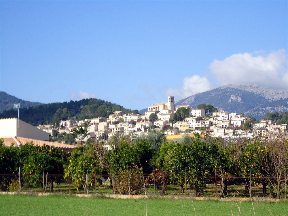 Finca Son Olive Сельва Экстерьер фото